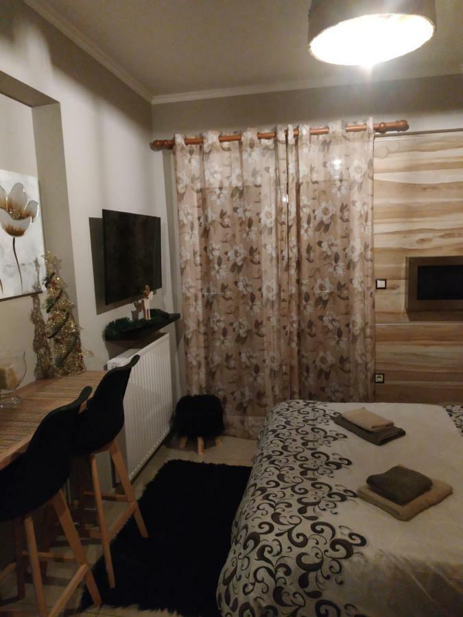 リトコロンΔιαμερισμα Στο Λιτοχωρο Με Εκπληκτικη Θεαアパートメント エクステリア 写真